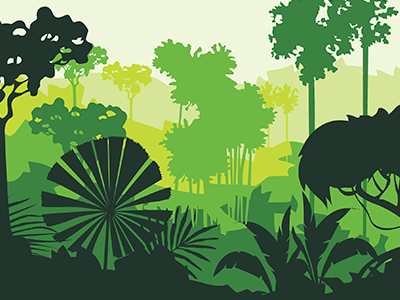 The Learning Rainforest fieldbook
